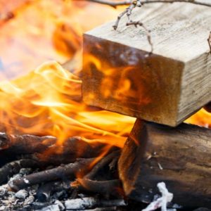 Exquisite Can You Burn Pine In Fireplace Artwork Photography Exquisite Can You Burn Pine In Fireplace Artwork Photography